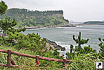   (Jeju, Cheju-do),  .