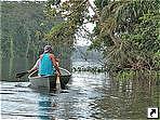 Tortuguero,  , -.