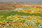   (Dalol)     (Hamd Ela),   (Danakil Depression), .