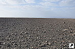     (Hamd Ela),   (Danakil Depression), .