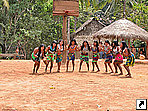   ,    (Embera Drua), .