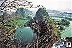  (Zhaoqing),   (Guandong), .