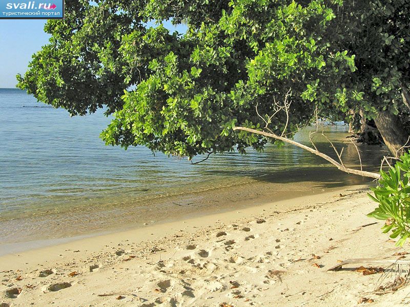 , ,    (Lissenung, Kavieng, New Ireland island), - .