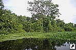   (Rio Concha),   (Maracaibo lake), .