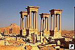  (Palmyra, ), .