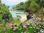   (Phuket),  .