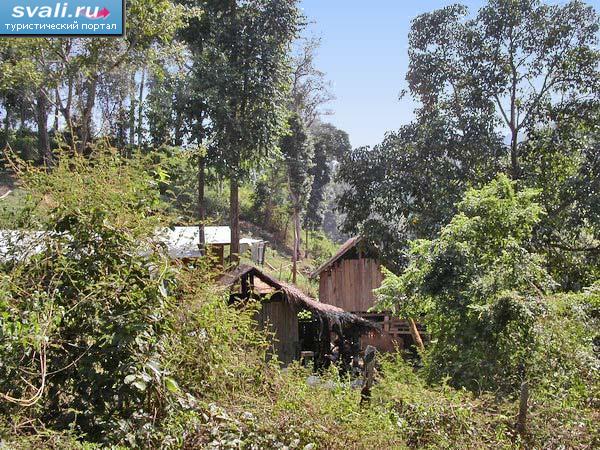     (Chiangmai),  .
