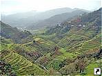  ,  (Banaue),   (Luzon), .