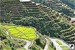  ,  (Banaue),   (Luzon), .