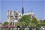   , (   , Notre-Dame de Paris), , .