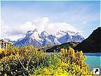   -- (Torres Del Paine), , .