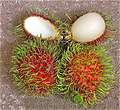 , Rambutan (Ngo).