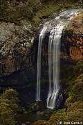  " Ebor", Waterfall Way -   Armidale  Bellingen,  78 , NSW, 