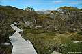  Snow Gums Broardwalk, Snowy Mountains, NSW, 