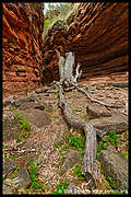 Alligator Gorge, Mt Remarkable National Park, South Australia, Australia (5)