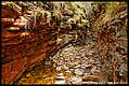 Alligator Gorge, Mt Remarkable National Park, South Australia, Australia (6)