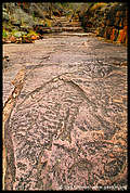 Alligator Gorge, Mt Remarkable National Park, South Australia, Australia (2)