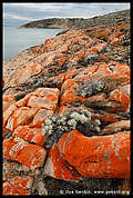 Fenchman's Rocks, Eyre Peninsula, South Australia