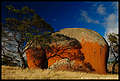 Murphy's Haystacks (3), Streaky Bay, Eyre Peninsula, South Australia