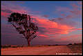    Cape Bauer (3), Streaky Bay, Eyre Peninsula, South Australia