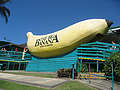           (The Big Banana)   - (Coffs Harbour),     1964 .