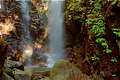 Box Log Falls, Lamington National Park,    Brisban     Gold Coast, QLD, .