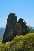 Breadknife       Lugh`s Thron, Warrumbungle NP,   Coonabarabran, NSW, 