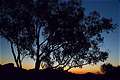 , Whitegum Lookout, Warrumbungle NP, NSW, 