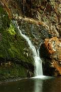 Lilydale Falls, 